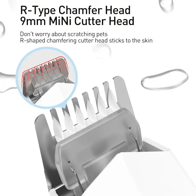 S19b7b9c1e3c44e4486f78186614f8eceS