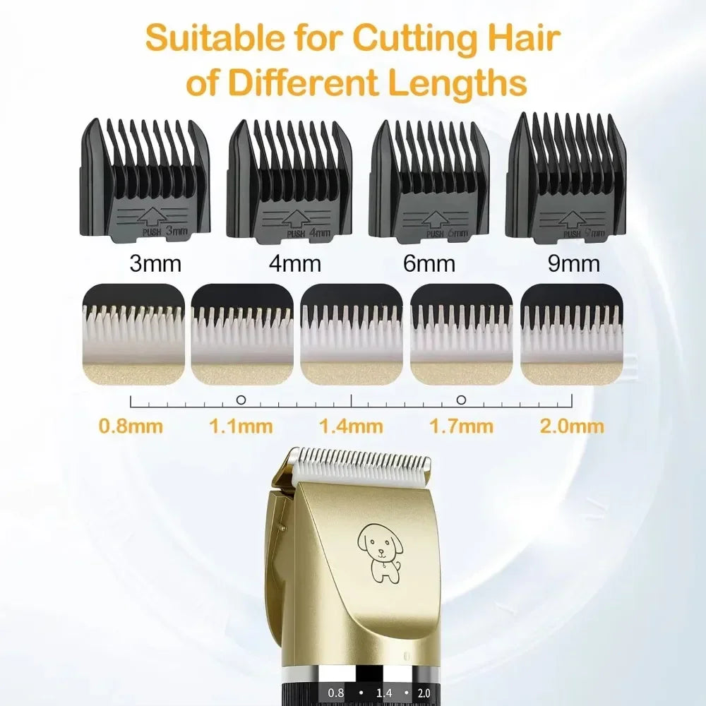 Sfe62a8e7e3be4cb2a9b4c2f2ac1c958ci